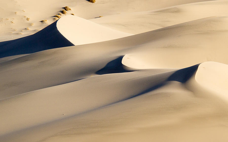 Eureka Dune #1 Photograph by Jean Noren