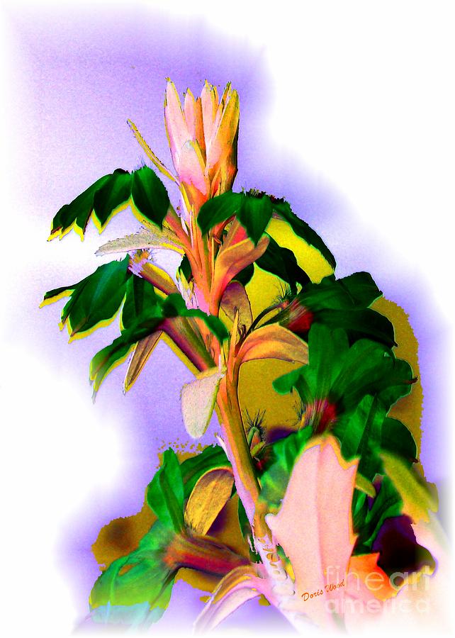 Nature Digital Art - Exotic Flower #1 by Doris Wood