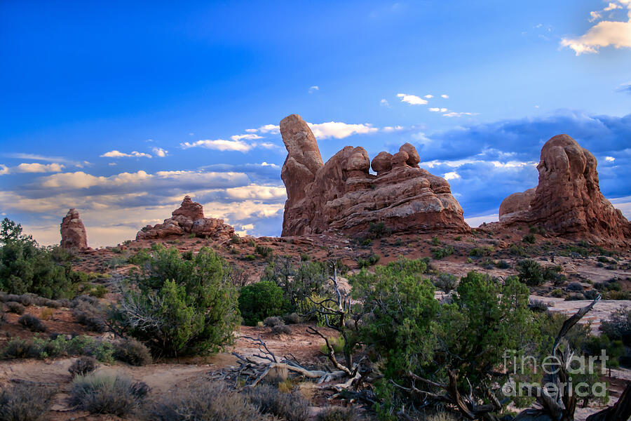 Eye View of Arches Photograph by Robert Bales
