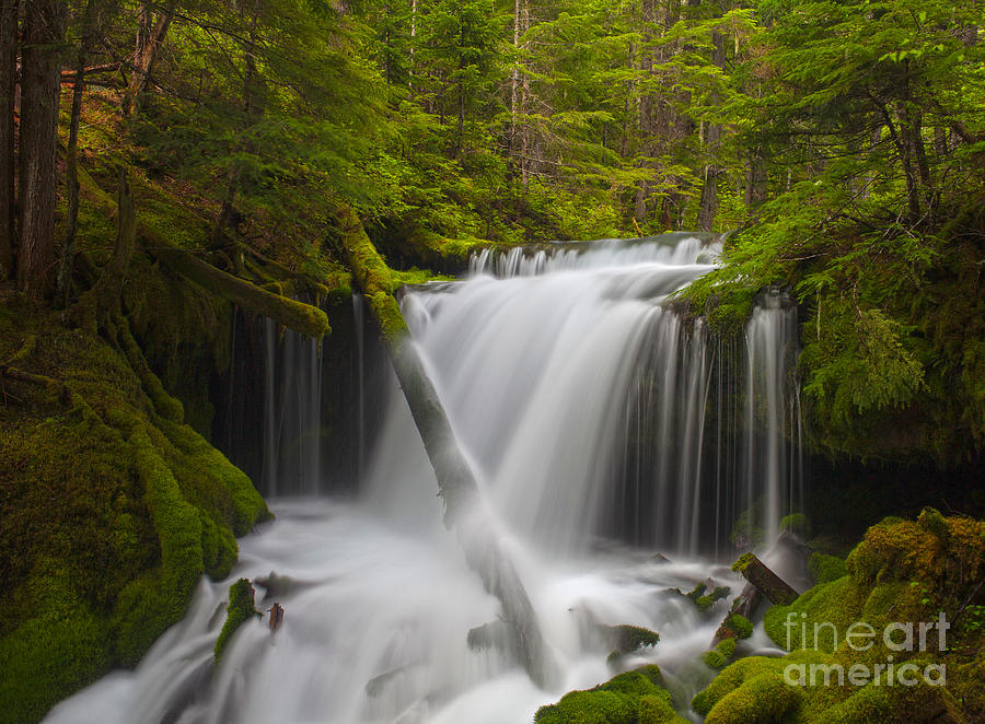 Faerie Falls #1 Photograph by Mike Reid