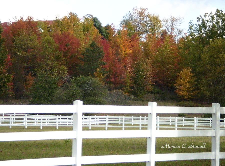 Fall Colors Collection - Michigan #1 Photograph by Monica C Stovall
