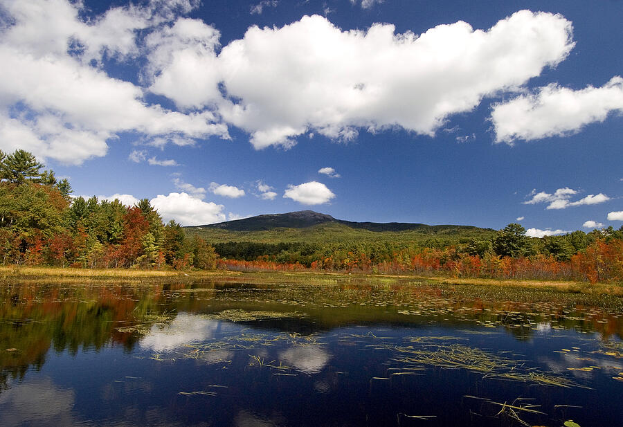 Fall Day at Perkins Pond Photograph by Gordon Ripley