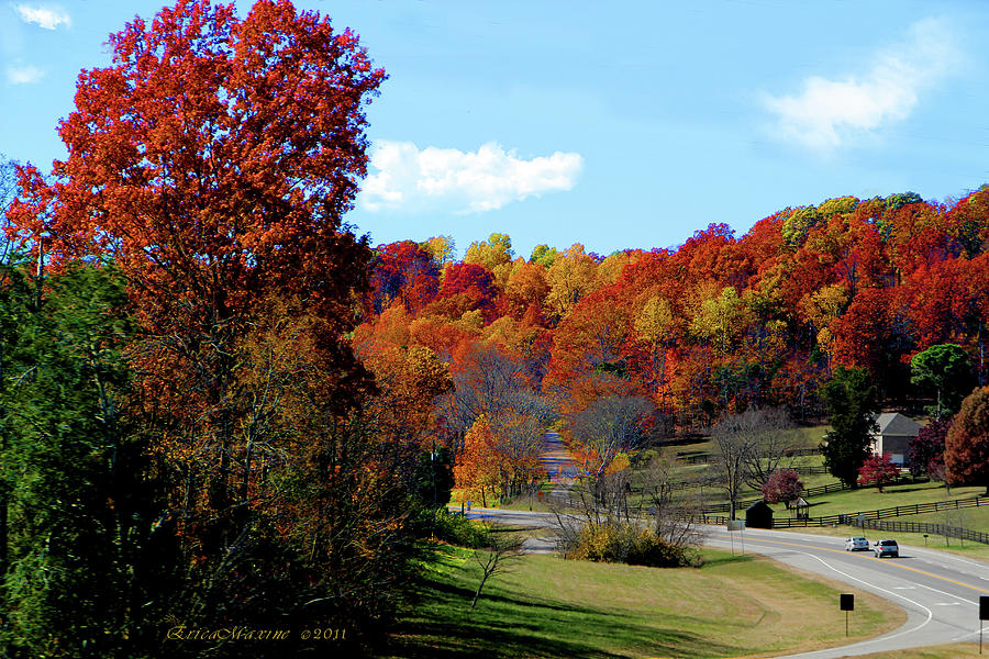 Fall Photograph - Fall Drive in Tennessee #2 by Ericamaxine Price