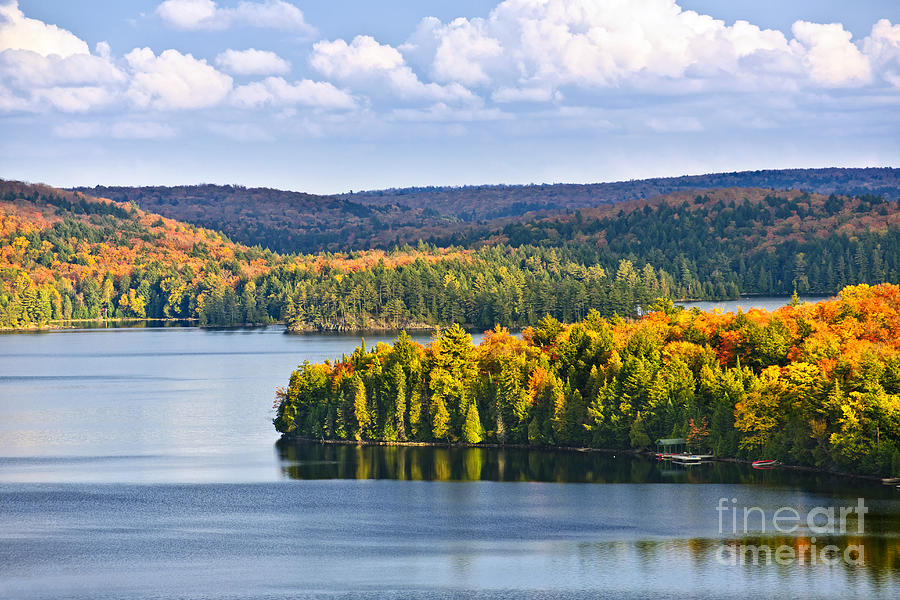 High view of fall forest and lake Photograph by Elena Elisseeva