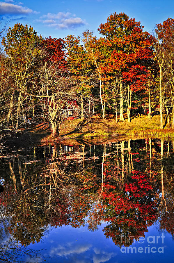 Reflections in fall lake Photograph by Elena Elisseeva