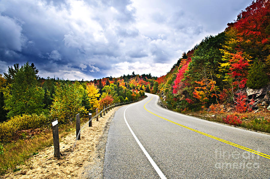 Fall highway 2 Photograph by Elena Elisseeva
