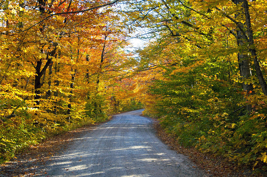 Fall In New England #1 Photograph by Glenn Gordon