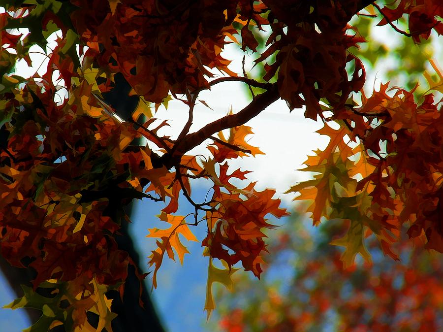 Fall Leaves Digital Art
