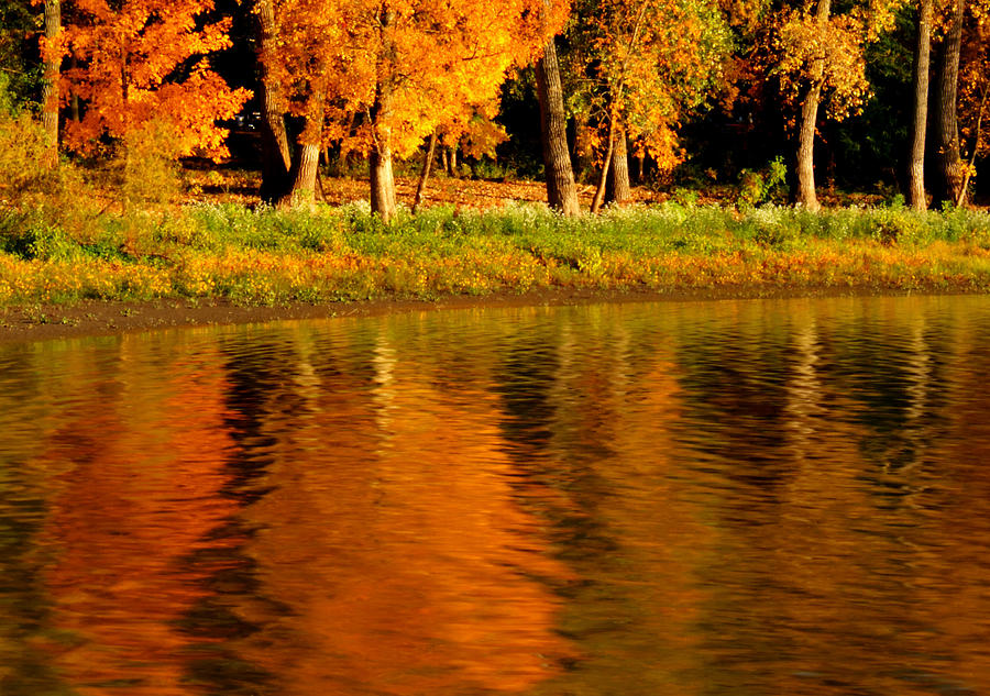 Fall Reflections #1 Photograph by Coby Cooper