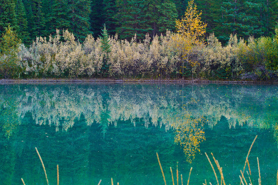 Nature Photograph - Fall Reflections by Manju Shekhar Nature Photograph - Fall Reflections by Manju Shekhar