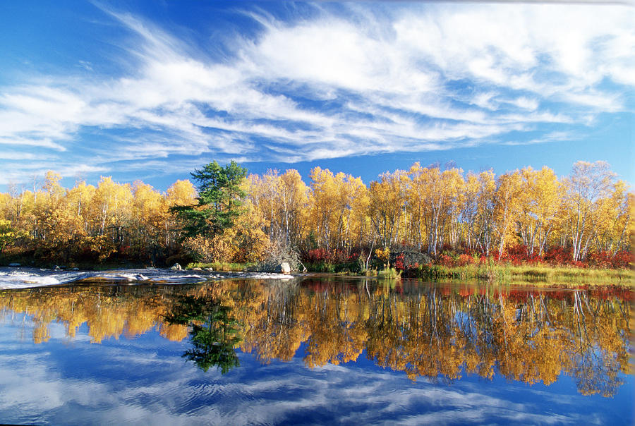 Fall Trees And Whiteshell River Photograph by Dave Reede - Fine Art America