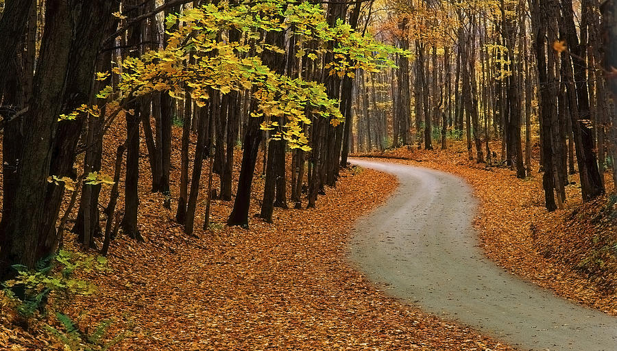 Fall Winding Road  #1 Photograph by John Bartosik