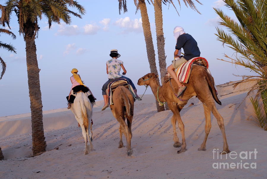 Family riding three camels in desert #1 Photograph by Sami Sarkis