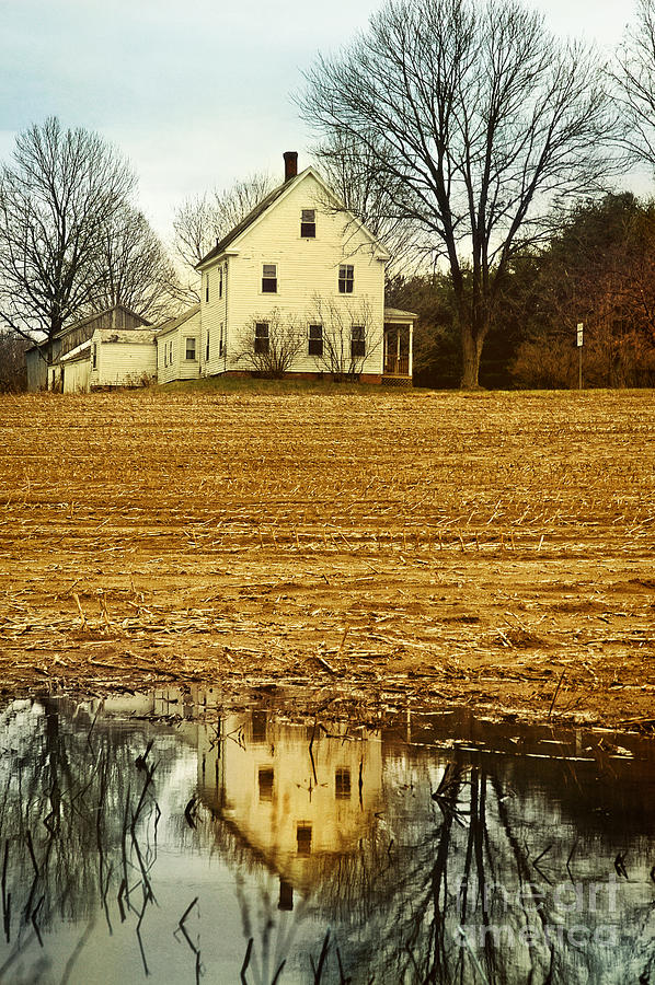 Tree Photograph - Farmhouse #1 by HD Connelly