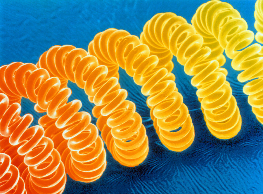 F/col Sem Of The Tungsten Filament Of A Light Bulb Photograph by Power