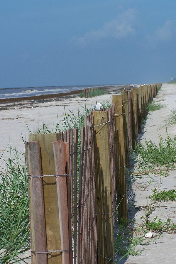 Fence on beach Photograph by Frances Hodge - Fine Art America