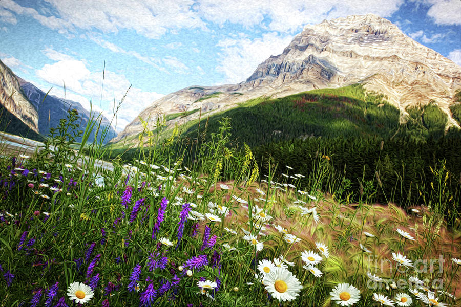 Banff National Park Photograph - Field of daisies and wild flowers/Digital Painting  by Sandra Cunningham