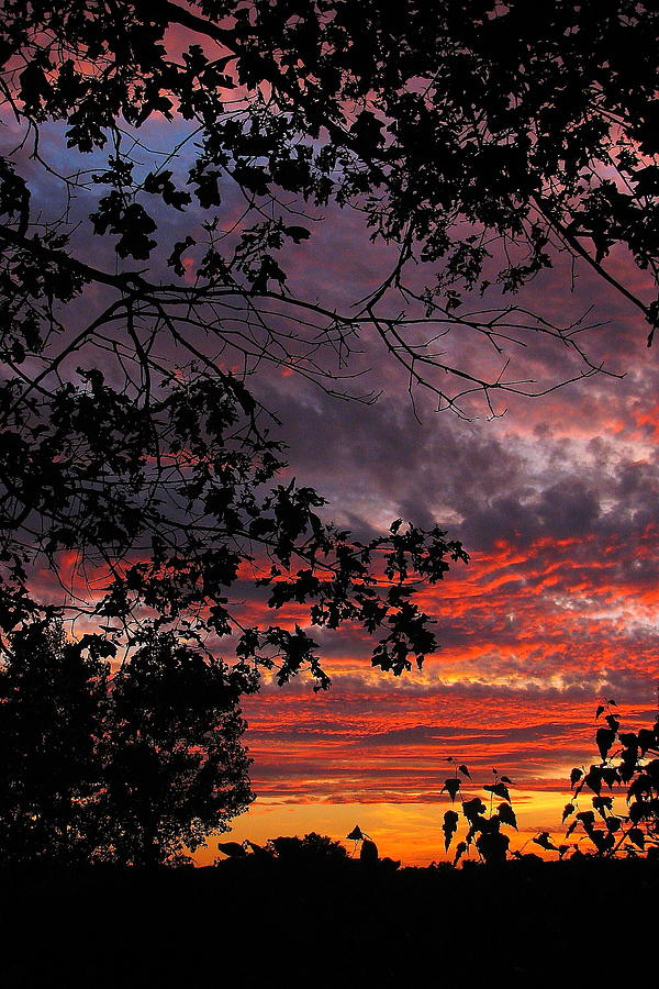 Fire in the Sky Photograph by Jeff Heimlich