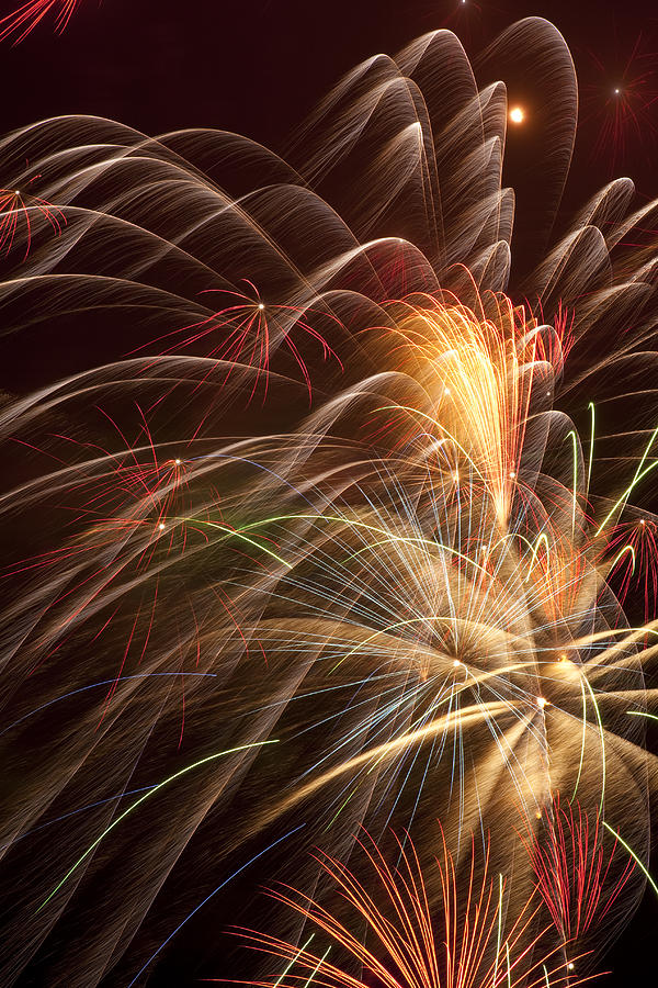 Independence Day Photograph - Fireworks in night sky #2 by Garry Gay