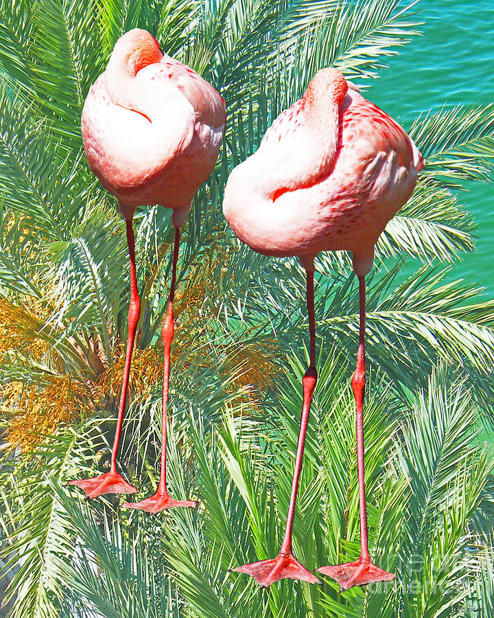 Flamingo Siesta Digital Art by Lizi Beard-Ward