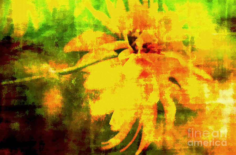 Floral Abstract  #1 Photograph by Elaine Manley