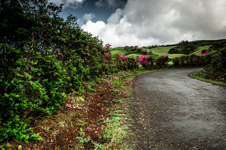 Nature Photograph - Flores Island - Azores by Edgar Laureano