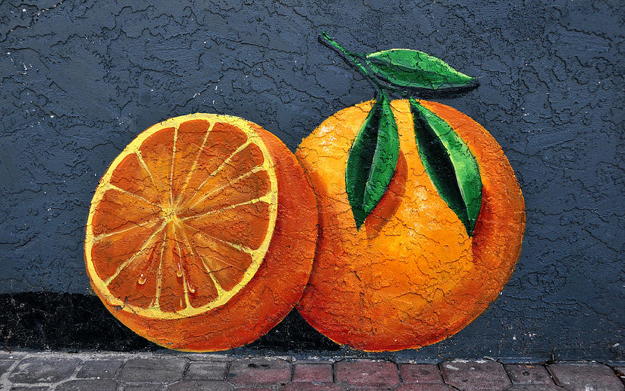 Fruit Photograph - Florida Orange #1 by David Lee Thompson