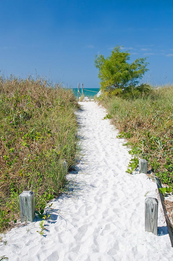 Summer Photograph - Florida Sanibel Island Summer Vacation Beach #1 by ELITE IMAGE photography By Chad McDermott