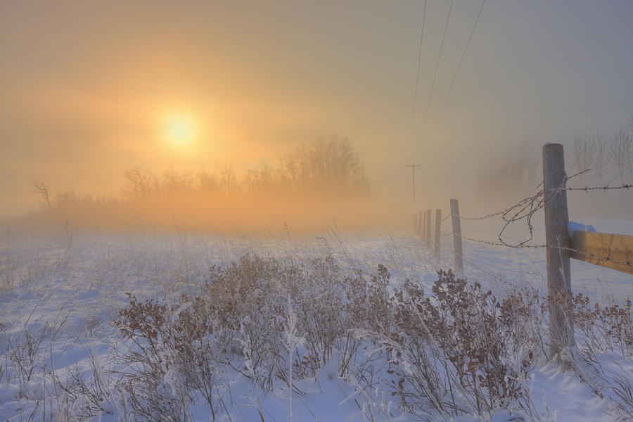 Foggy Winter Sunrise Over Barbed Wire #1 Photograph by Dan Jurak