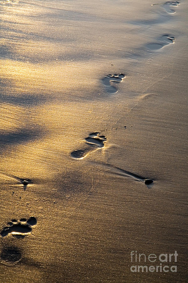 Footprints #1 Photograph by Kati Finell