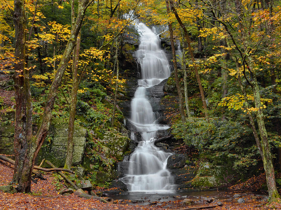 Forest Waterfall In Autumn #1 Photograph by Stephen Vecchiotti