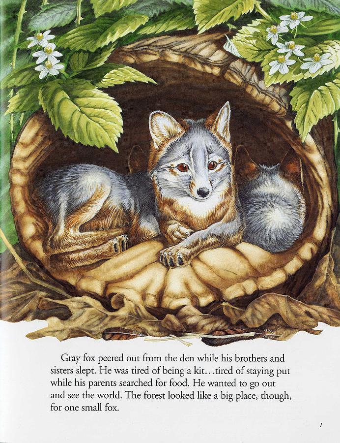 the fox in the forest artwork the fox in the forest artwork
