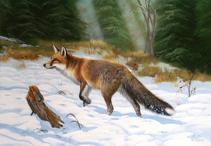 Fox Painting