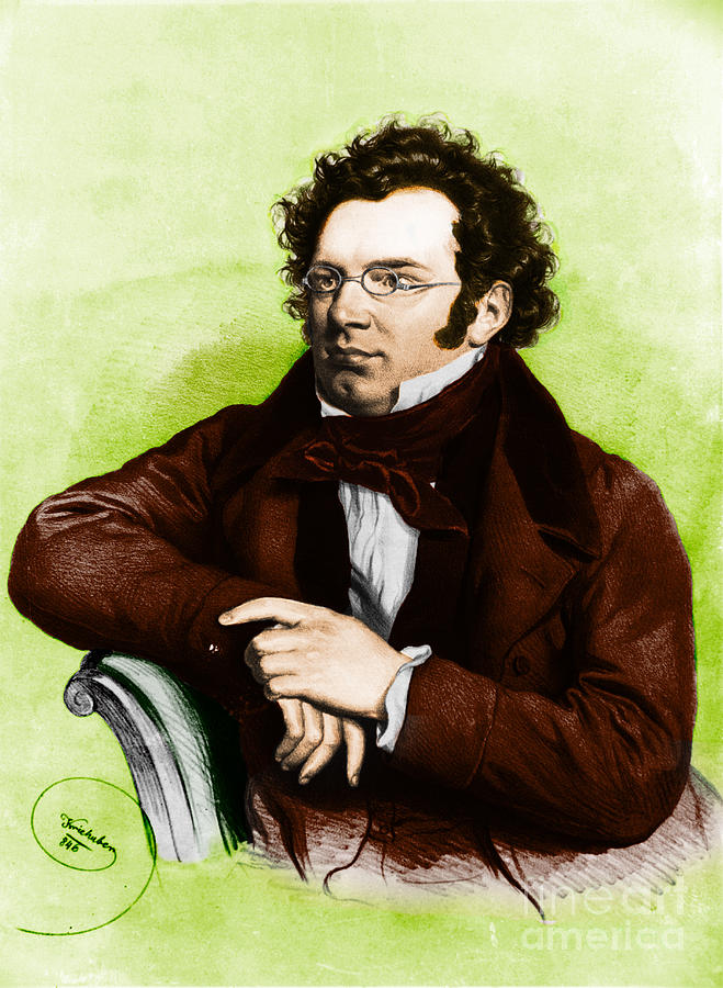 Franz Peter Schubert, Austrian Composer #1 Photograph by Omikron