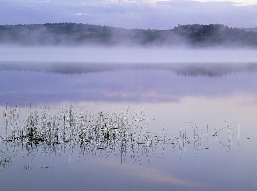 French Lake, Quetico Provincial Park #1 Photograph by Darwin Wiggett ...