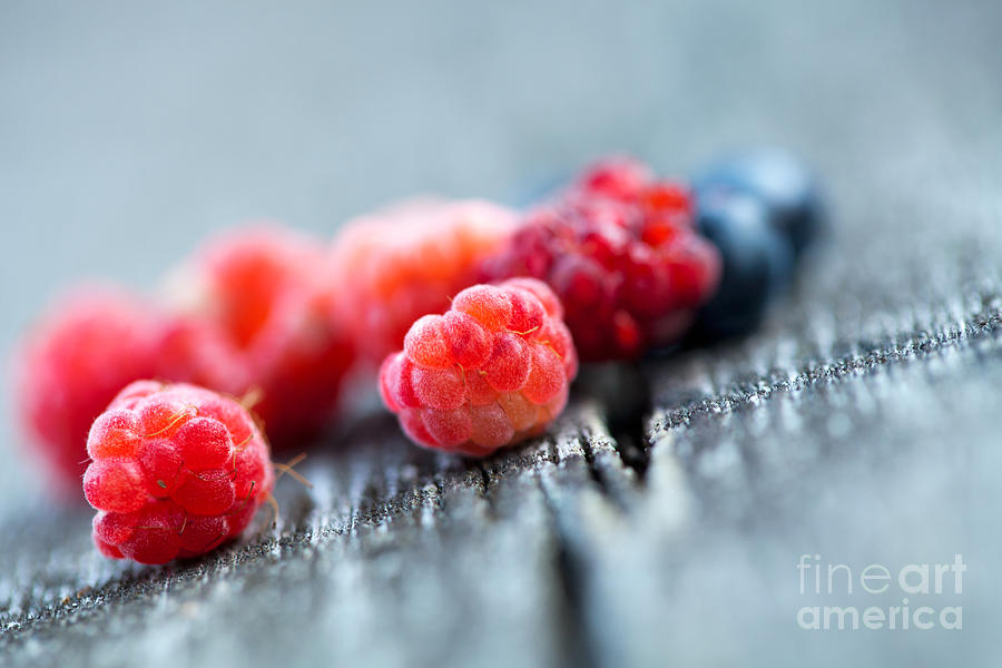 Fresh berries #1 Photograph by Kati Finell