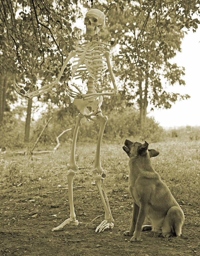 Skeleton Photograph - Friends #1 by Betsy Knapp