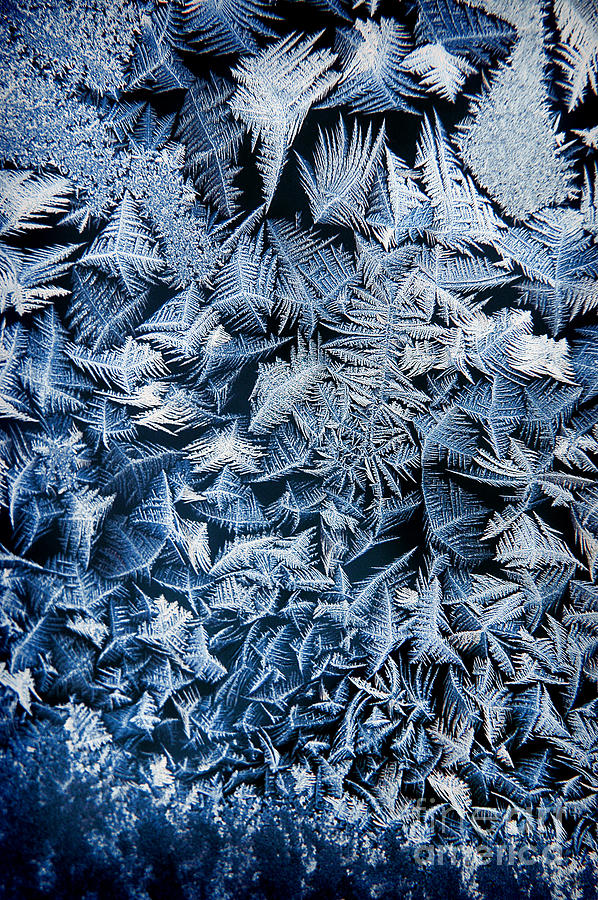 Winter Photograph - Frost #1 by HD Connelly