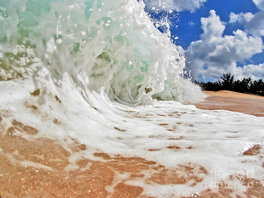 Frothy #1 Photograph by Paul Topp