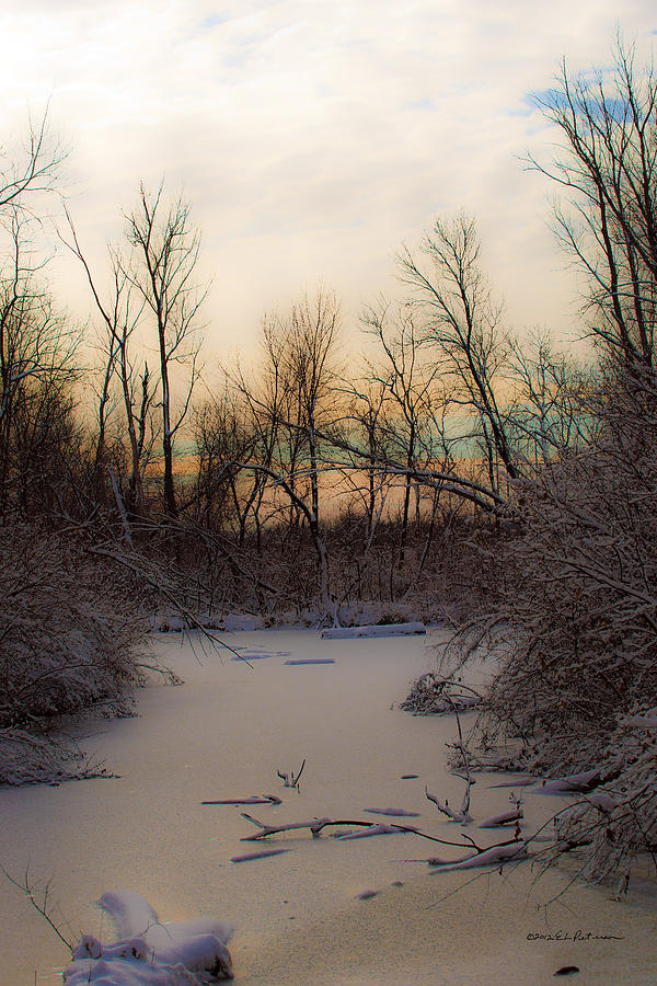 Frozen Pond #1 Photograph by Ed Peterson Frozen Pond #1 Photograph by Ed Peterson
