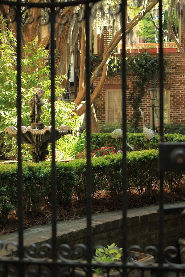 Savannah Ga Photograph - Garden Gate #1 by Carol Ann Thomas