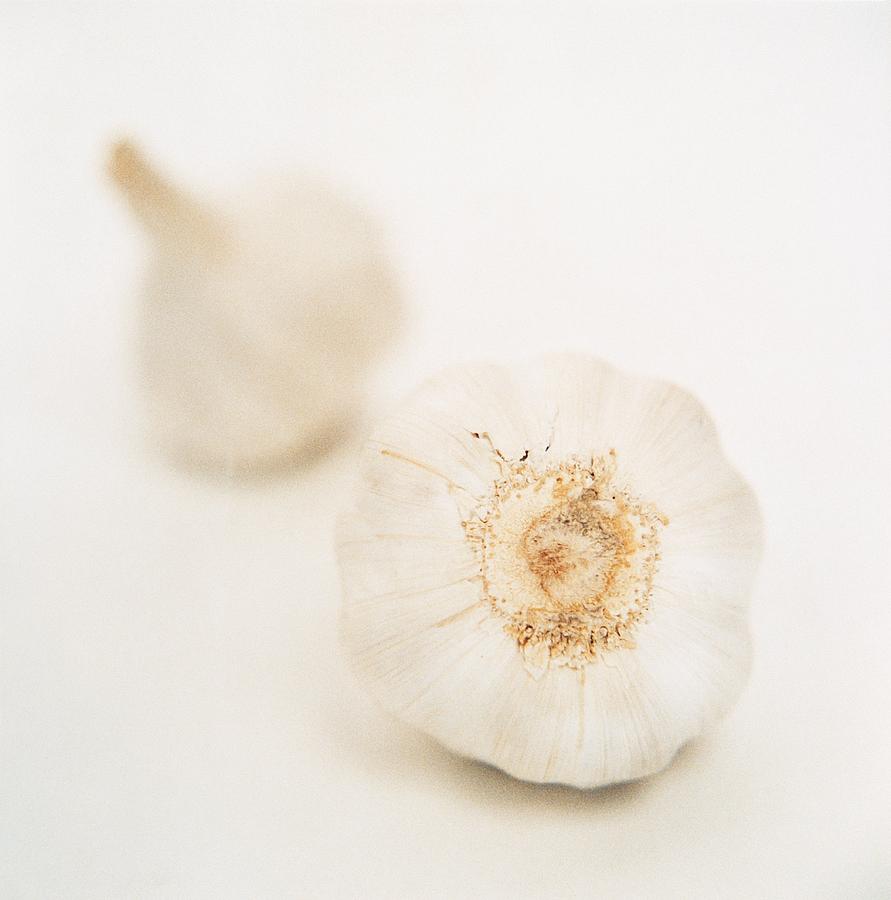 Still Life Photograph - Garlic #1 by Cristina Pedrazzini