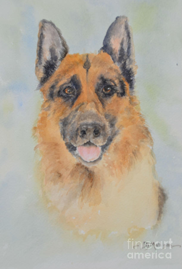 German Shepherd Painting by Betty Mulligan