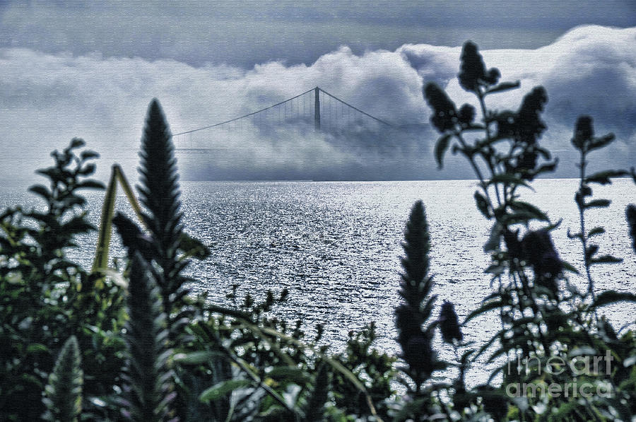 Golden Gate Bridge - 1 Photograph by Mark Madere