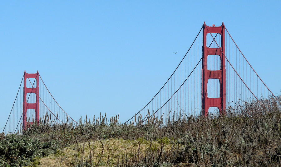 Golden Gate Bridge #1 Photograph by Jeff Lowe