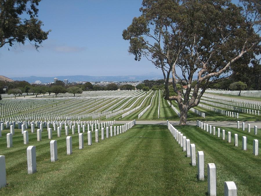 Tree Photograph - Golden Gate National Cemetery #1 by Dany Lison