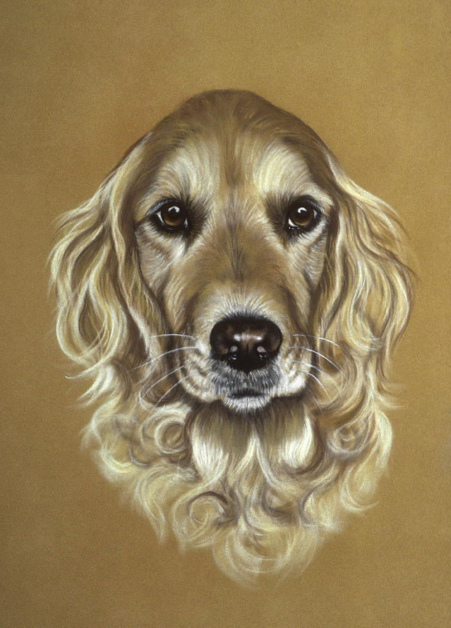 Dog Pastel - Golden Retriever #1 by Patricia Ivy