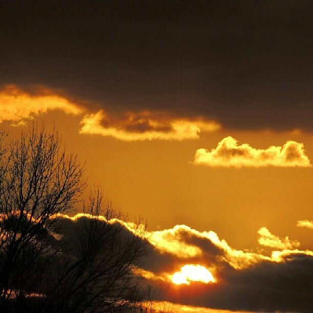 Sunset Photograph - Golden Sunset #1 by Kelli Stowe