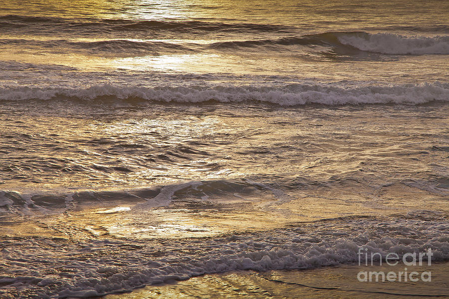Golden Surf #1 Photograph by Susan Cole Kelly