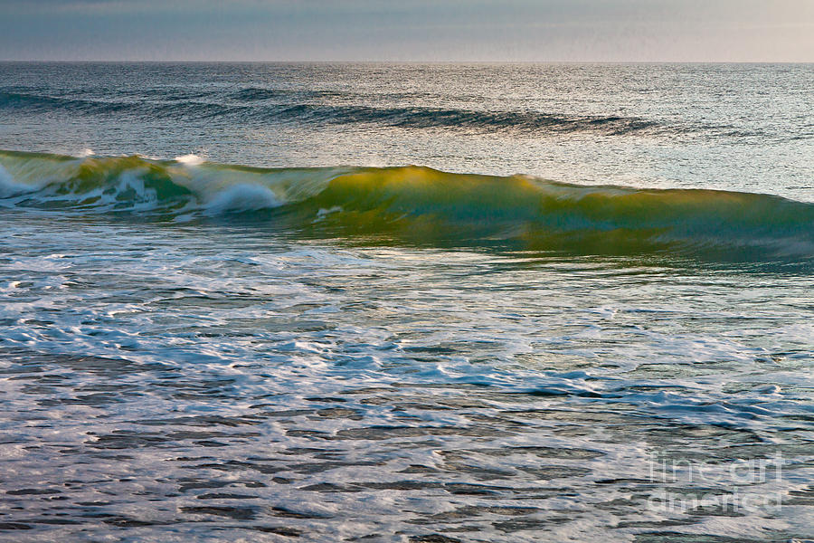 Golden Wave #1 Photograph by Susan Cole Kelly